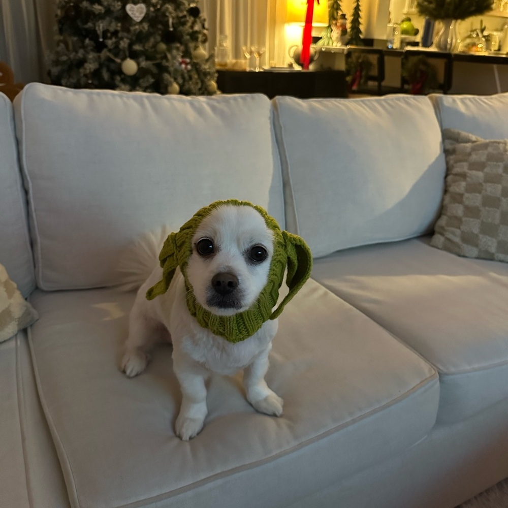Handmade Dog Ear Warmer beanie pet hat